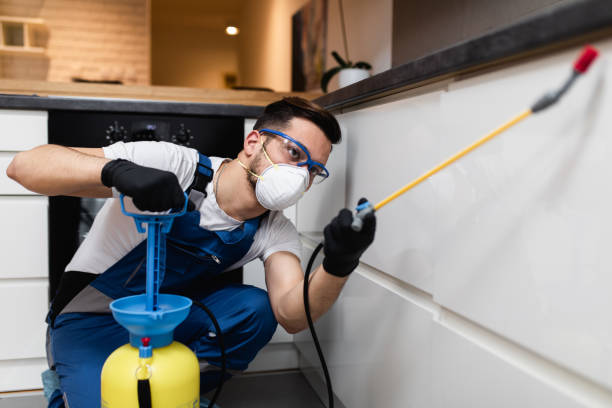Best Rat Extermination Near Me  in Willmsburg, IA