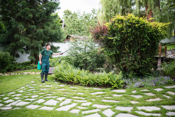 Trusted Williamsburg, IA Pest Control Experts
