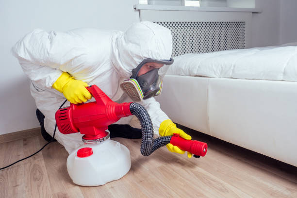 Best Flea Control Services  in Willmsburg, IA