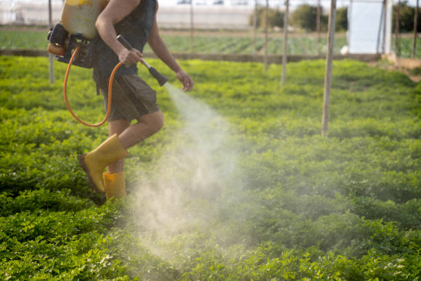 Best Pest Control Near Me in Williamsburg, IA