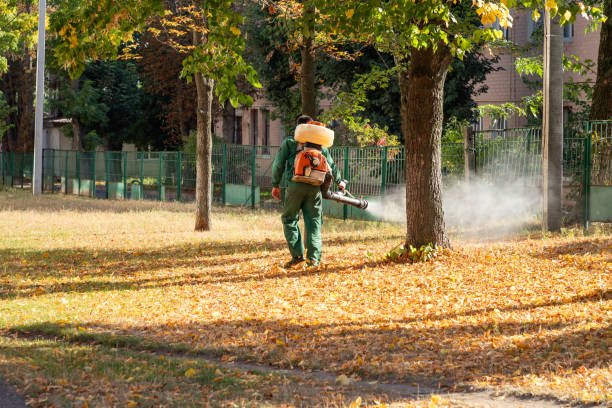 Best Pest Control Near Me  in Willmsburg, IA