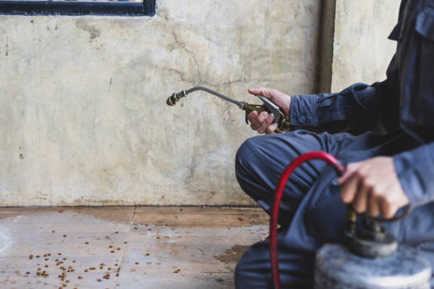 Best Termite Control Services  in Willmsburg, IA