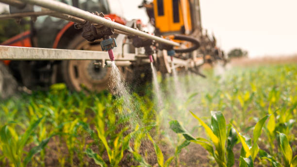 Best Wildlife Control Services  in Willmsburg, IA