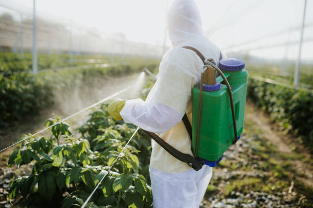 Best Pest Control for Businesses  in Willmsburg, IA